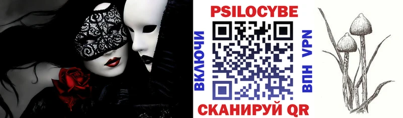 Купить закладки  Петровск  Псилоцибиновые грибы мицелий 